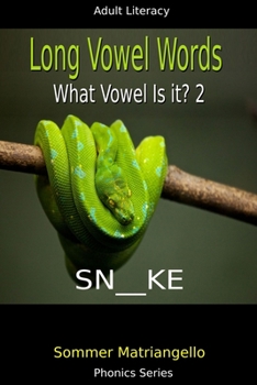 Paperback Long Vowel Words: What Vowel Is It? 2 Book
