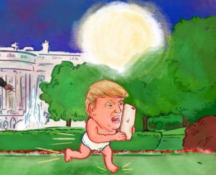 Paperback Stop F**king Tweeting and Go the F**k to Sleep, Mr. President Book