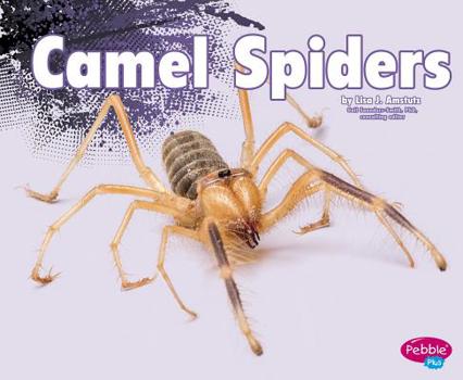 Hardcover Camel Spiders Book