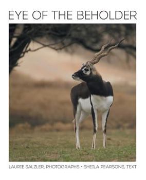 Paperback Eye of the Beholder Book