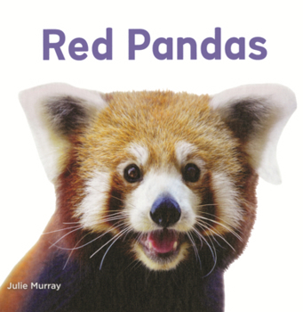 Red Pandas