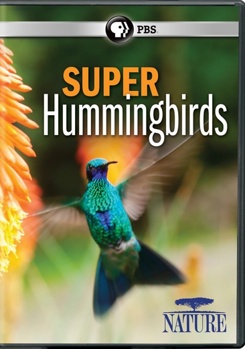 DVD Nature: Super Hummingbirds Book