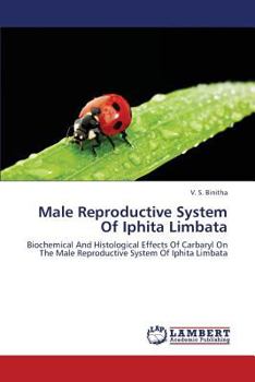 Paperback Male Reproductive System Of Iphita Limbata Book