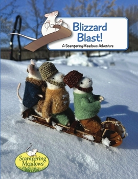 Paperback Blizzard Blast Book