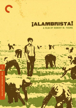 DVD Alambrista! Book