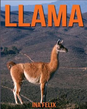 Paperback Llama: Children Book of Fun Facts & Amazing Photos on Animals in Nature - A Wonderful Llama Book for Kids aged 3-7 Book