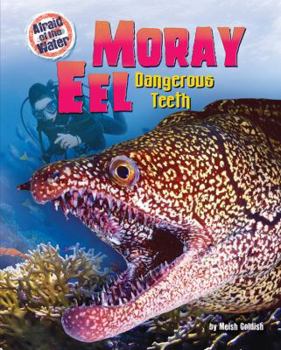 Library Binding Moray Eel: Dangerous Teeth Book