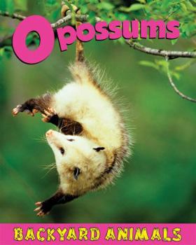 Library Binding Opossums Book