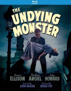 Blu-ray The Undying Monster Book