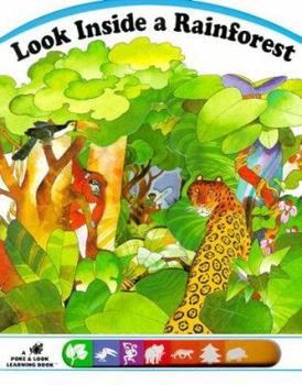 Look inside a Rainforest (Poke and Look) - Book  of the Usborne Look Inside