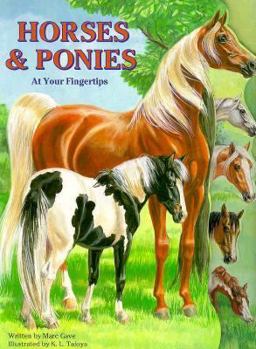 Board book Horses and Ponies Book