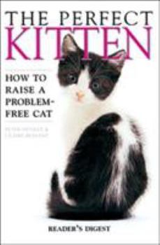 Paperback The Perfect Kitten Book