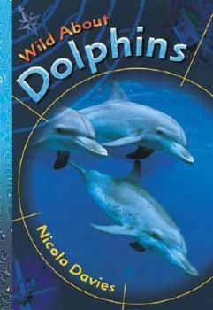 Hardcover Wild about Dolphins Book