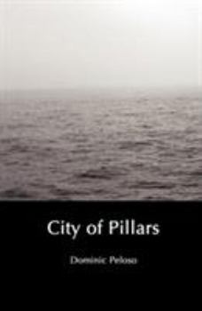 Paperback City of Pillars Book