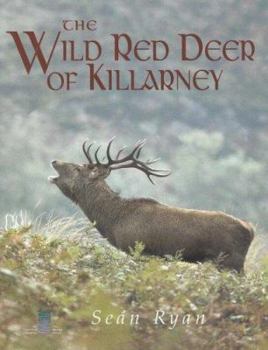 Hardcover The Wild Red Deer of Killarney: A Personal Experience and Photographic Record of the Yearly and Life Cycles of the Native Irish Red Deer of County Ker Book