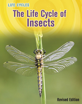 The Life Cycle of Insects