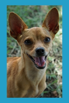 Planner: 2020 diary: Increase productivity, improve time management, reach your goals: Chihuahua in blue frame: Modern artistic photography style cover