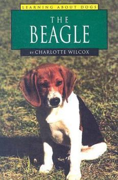 The Beagle (Wilcox, Charlotte. Learning About Dogs.) - Book  of the Learning About Dogs