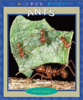 Ants - Book  of the A True Book
