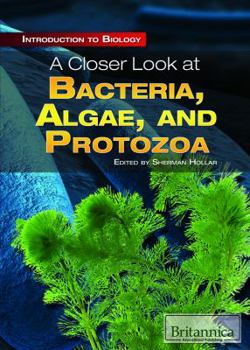 A Closer Look at Bacteria, Algae, and Protozoa