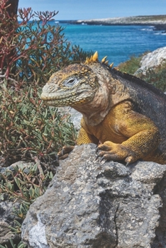 Kalender 2020: Wochenplaner Galapagos Edition | Praktischer Organizer im DIN A5 Format für Weltenbummler mit Fernweh | 1 Doppelseite = 1 Woche (German Edition)