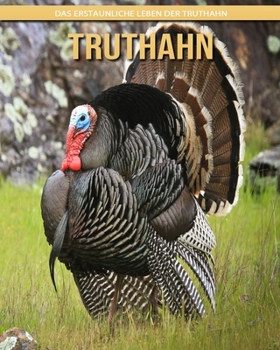 Paperback Truthahn: Das erstaunliche Leben der Truthahn [German] [Large Print] Book
