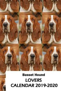 Paperback Basset Hound Lovers Calendar 2019-2020 Book