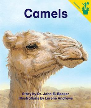 Paperback Early Reader: Camels Book