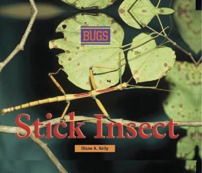 Hardcover Stick Insect Book
