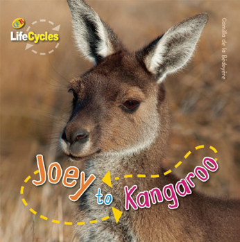 Hardcover Joey to Kangaroo Book