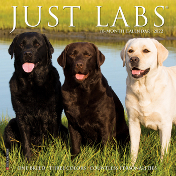 Calendar Just Labs 2022 Mini Wall Calendar, Labrador Retrievers Book