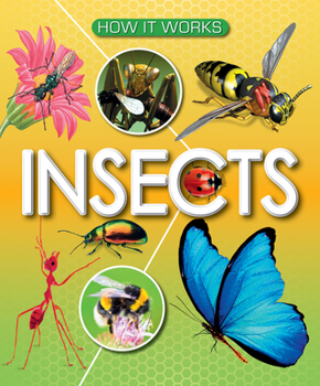 Paperback Insects Book
