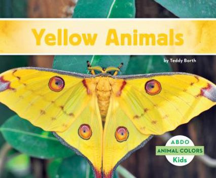 Library Binding Yellow Animals Book