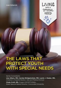 Hardcover The Laws That Protect Youth with Special Needs Book