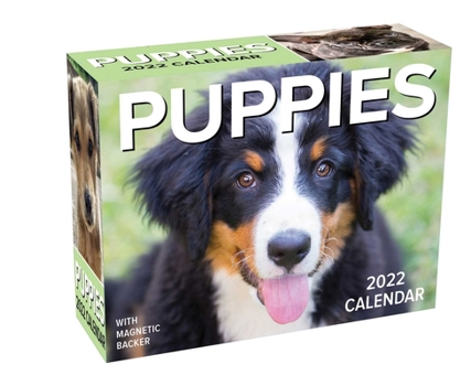 Calendar Puppies 2022 Mini Day-To-Day Calendar Book