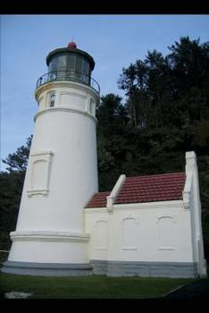 Paperback What Is Lost: The New England Pack Book