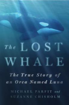 Hardcover Lost Whale Book