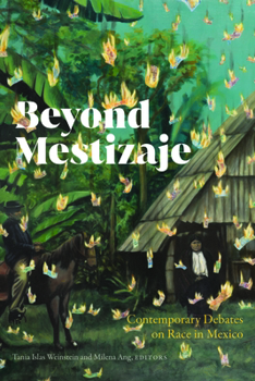 Paperback Beyond Mestizaje: Contemporary Debates on Race in Mexico Book