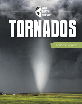 Paperback Tornadoes Book