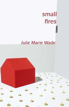 Paperback Small Fires Book