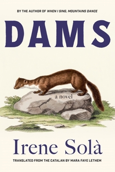 Paperback Dams Book