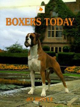 Hardcover Boxers Today Book