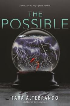 Hardcover The Possible Book