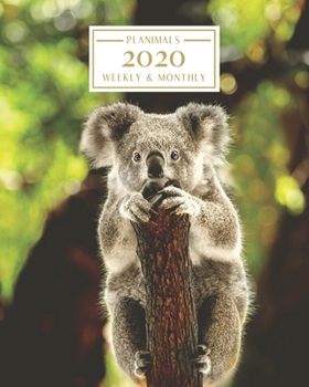 Paperback 2020: Weekly and Monthly Planner/Calendar Jan 2020 - Dec 2020 Koala Bear Book