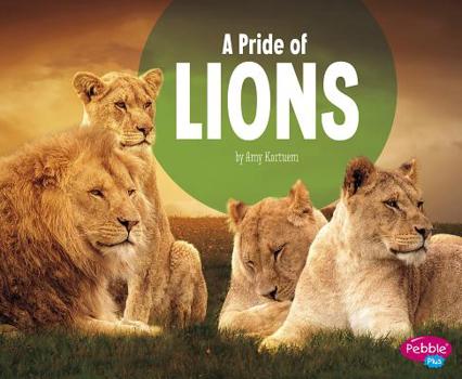 Paperback A Pride of Lions Book