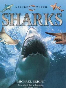 Hardcover Nature Watch: Sharks Book