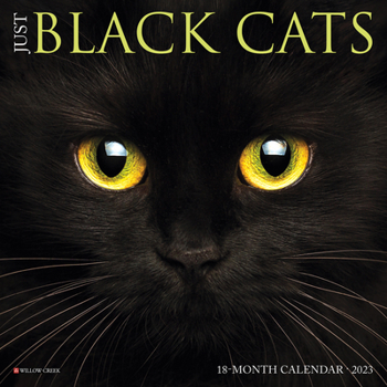 Calendar Just Black Cats 2023 Mini Wall Calendar Book