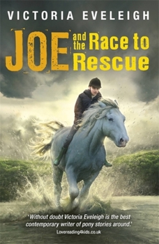 Joe and the Race to Rescue: Book 3