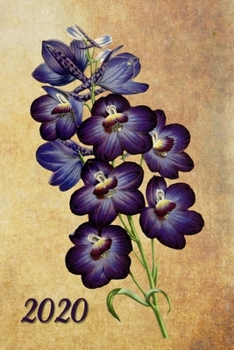 2020: Orchideen Vintage Kalender - Wochenkalender - Zielsetzung - Zeitmanagement - Produktivit�t - Terminplaner - Terminkalender +12 Seiten Arbeitszeitennachweis + 20 Seiten Adressen + 20 Seiten Punkt