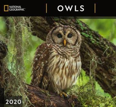 Calendar Cal 2020-National Geographic Owls Wall Book